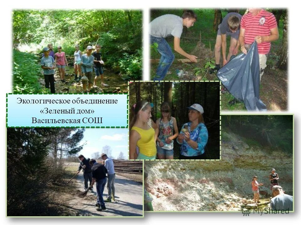 сайт экологическое объединение