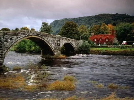 Bridge over the river