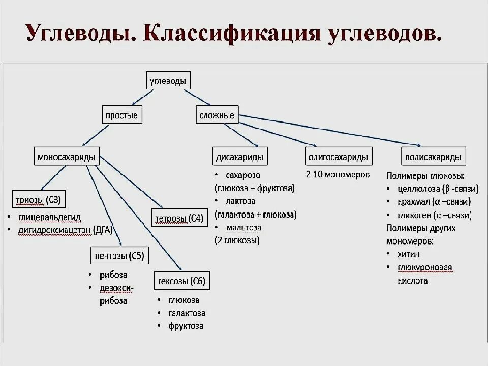 Класс веществ к которым относятся моносахариды. Классификация углеводов простые и сложные. классификация углеводов схема. составьте схему классификации углеводов. сложные углеводы классификация.