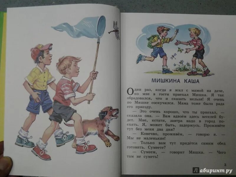 Мишкина каша содержание. Иллюстрации к книге Мишкина каша. Мишкина каша. Рассказы. Мишкина каша книга.