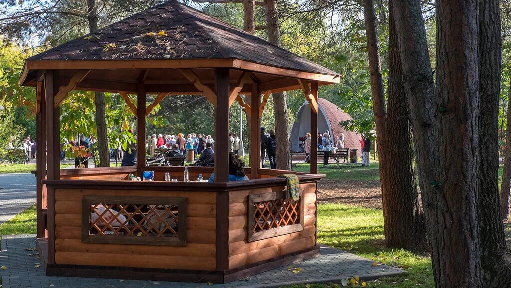 Серебряный бор 3 беседки. Парк кусково пикниковая зона. Борисовские пруды беседки. Гребнево беседки для шашлыка. Беседки для шашлыка в москве.
