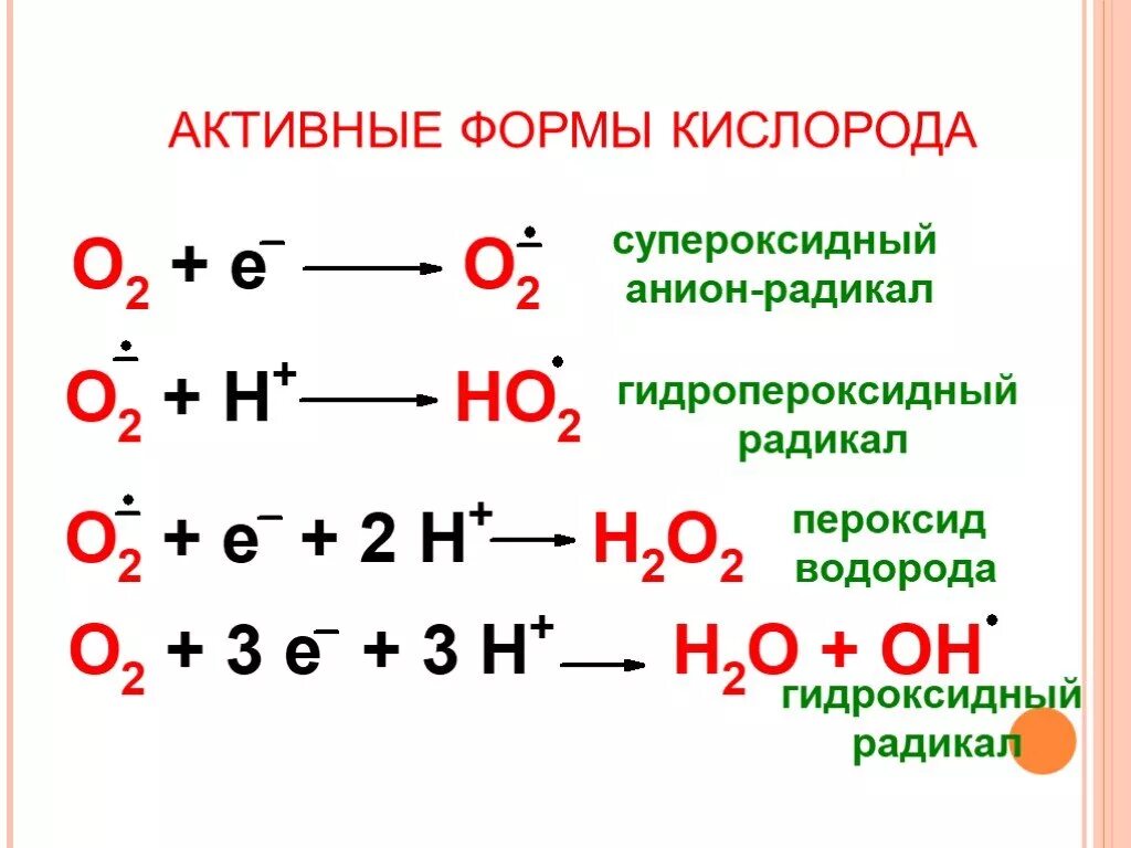 Супероксидный радикал. Активные формы кислорода биохимия. Образование активных форм кислорода биохимия. Приведите схему образования активных форм кислорода (АФК). Активные формы кислорода свободные радикалы.