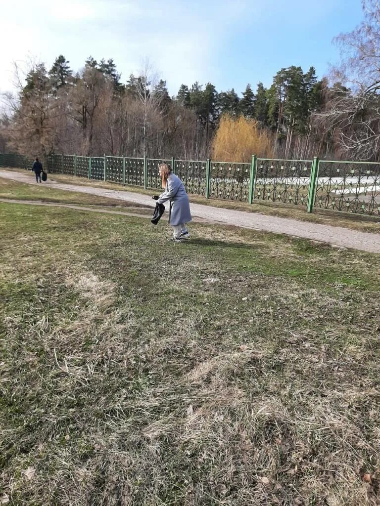 Сердобск березки. Парк Березовая роща Сердобск. Парк Березовая роща Ачинск. Березовая роща во дворе. Парк Березовая роща Мамонтовка.