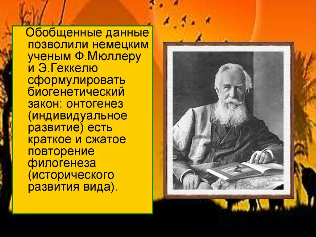 Ученый который сформулировал. Ф мюллер э геккель. геккель и мюллер ученый. презентация о учёном геккель. какие учёные сформулировал бтогенетический закон.