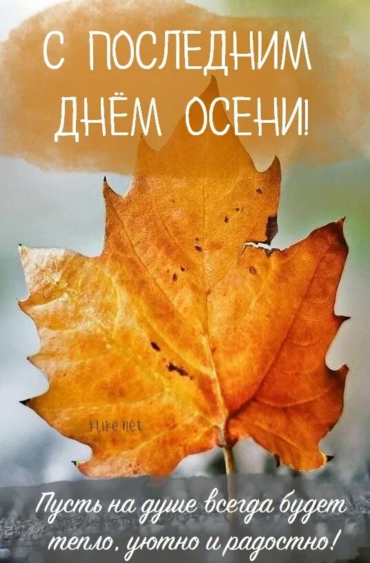 С последнениим днем ос. Какой последний день осени. С последним днем осени. Ноябрь скоро зима. Поздравления с последним днем осени в картинках.