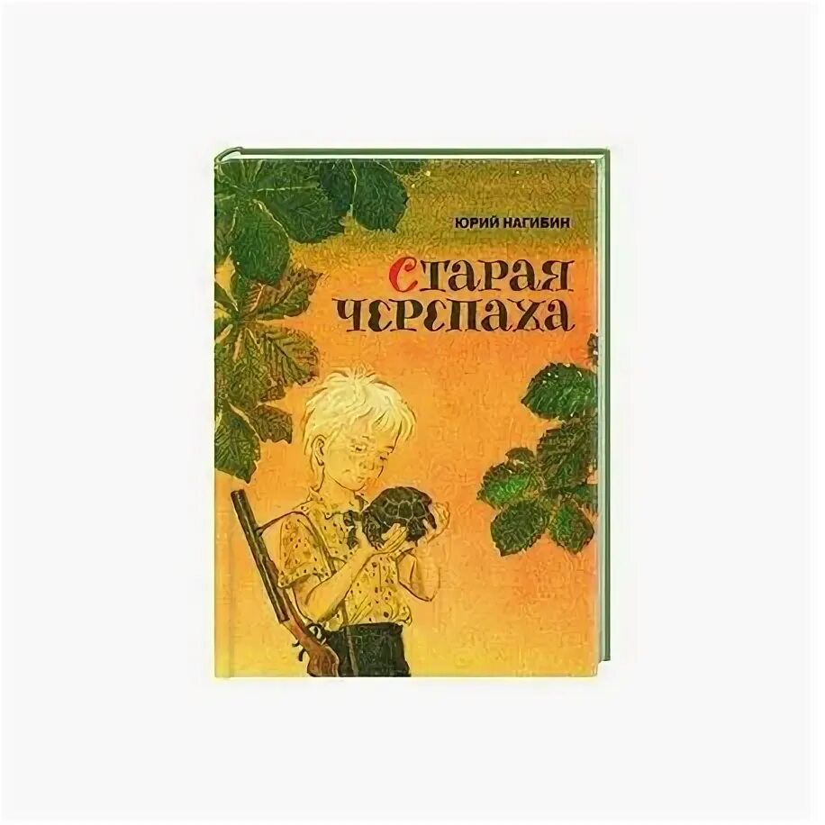 Книга Старая черепаха Нагибин. Иллюстрация к рассказу Старая черепаха. Нагибин мой первый друг читать