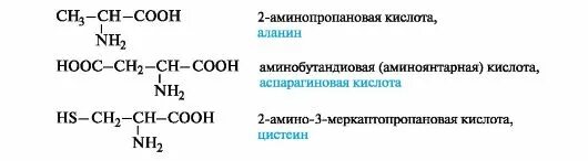 Аминопропановой кислоты. 2 Аминопропановая кислота. Аммонинопропиановпя кислота. Формула аминопропионовой кислоты