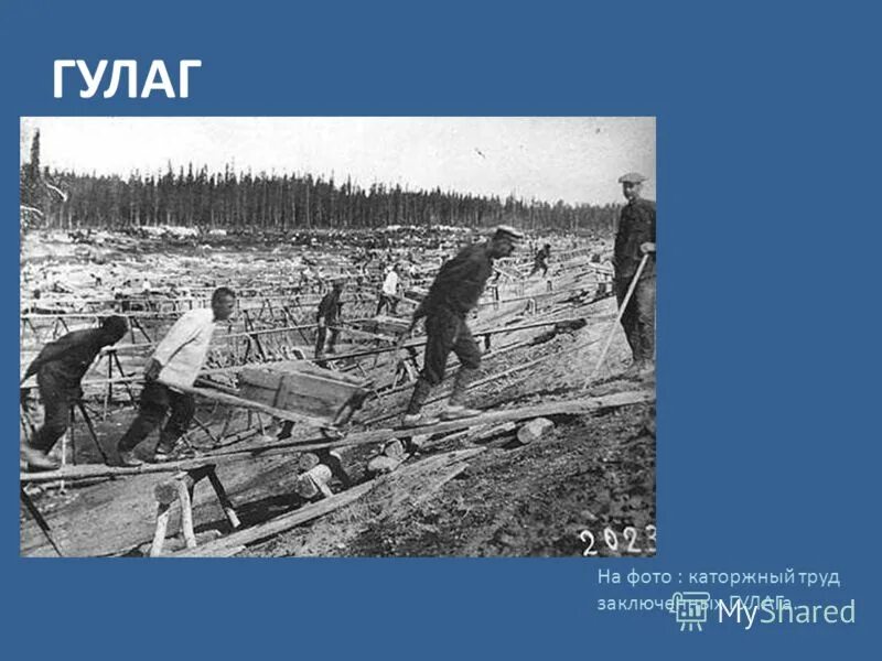 Трудовые лагеря в карелии гулаг. Гулаг беломоро балтийский. Исправительно трудовые лагеря в ссср гулаг. Труд заключенных гулага. Гулаг труд заключенных.