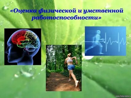 Умственная и физическая активность