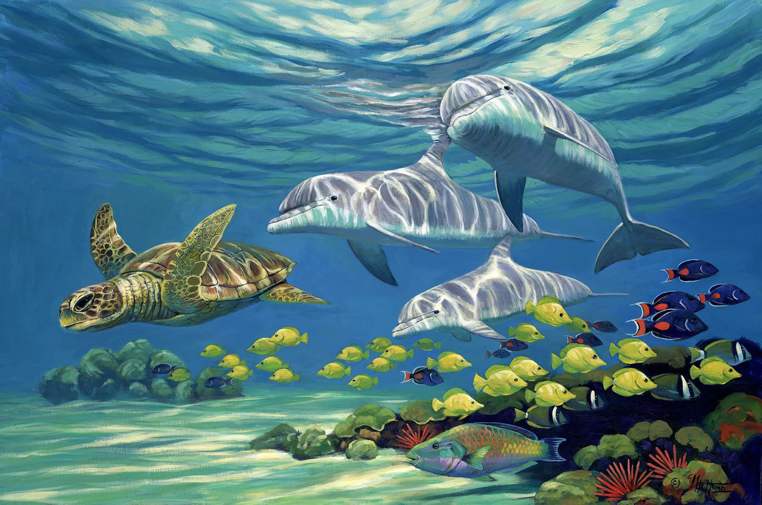 Морской мир россии. Дельфины в море. Морские обитатели моря. Подводный мир океана. Черепахи и дельфины.