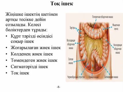 Менің әйелім күтпеген жерден есегіне кірді