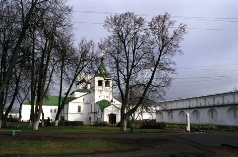 Родные в александрове