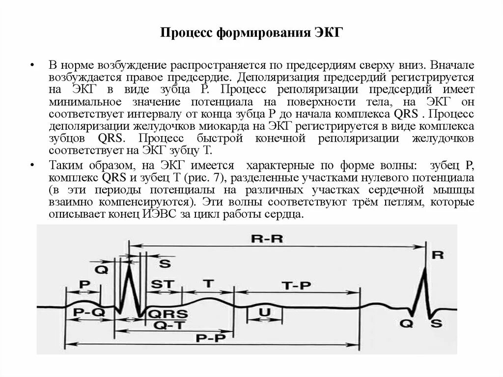 Экг процесс. Процесс обратной поляризации на экг. зубец т на экг отражает процесс. экг деполяризация и реполяризация. деполяризация желудочков на экг.