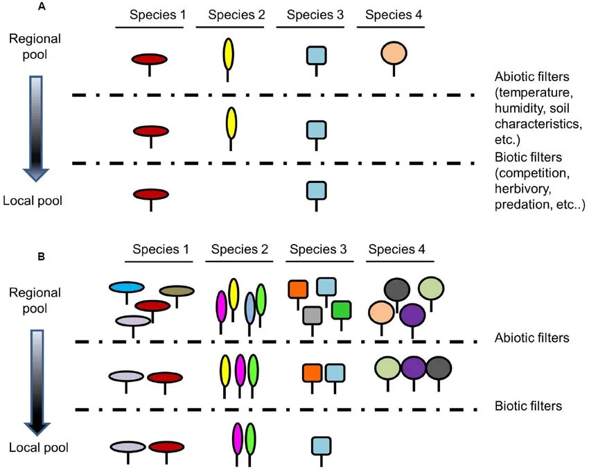 Specific regions. What is genetic engineering. Methods of genetic engineering. Sp3d гибридизация геометрическая фигура. Principle of faithful representation.