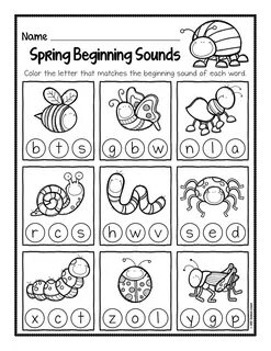 Spring begins
