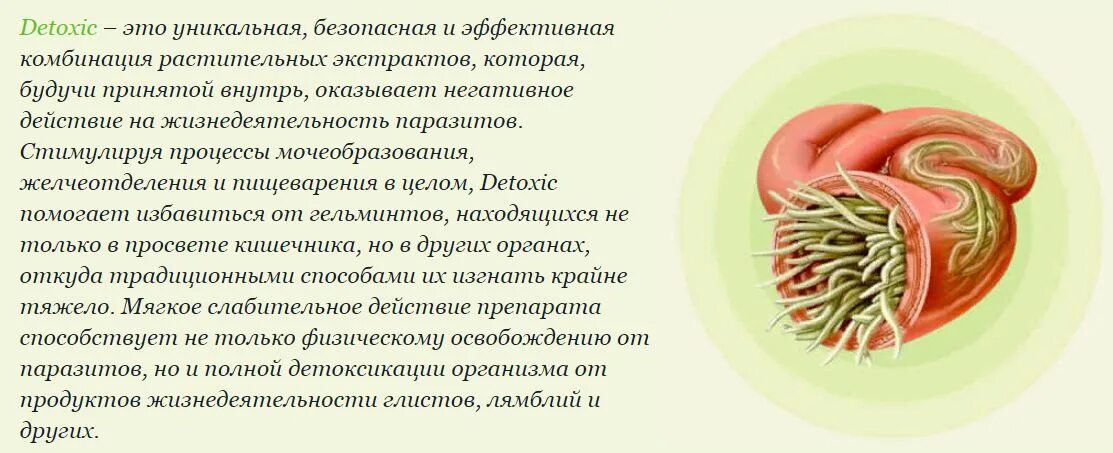 Как понять что в организме паразиты. Народные средства от глистов. избавиться от паразитов в организме.