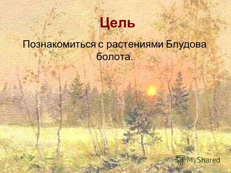 Блудова болота содержит огромные запасы горючего. Рисунок блудова болота. карта блудова болота. карта блудова болота кладовая солнца. рисунок карта блудова болота.