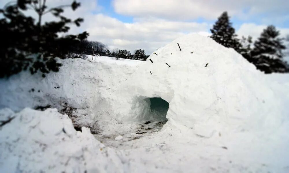 Снежное укрытие. Укрытие из снега. Убежище из снега. Снежные временные укрытия.