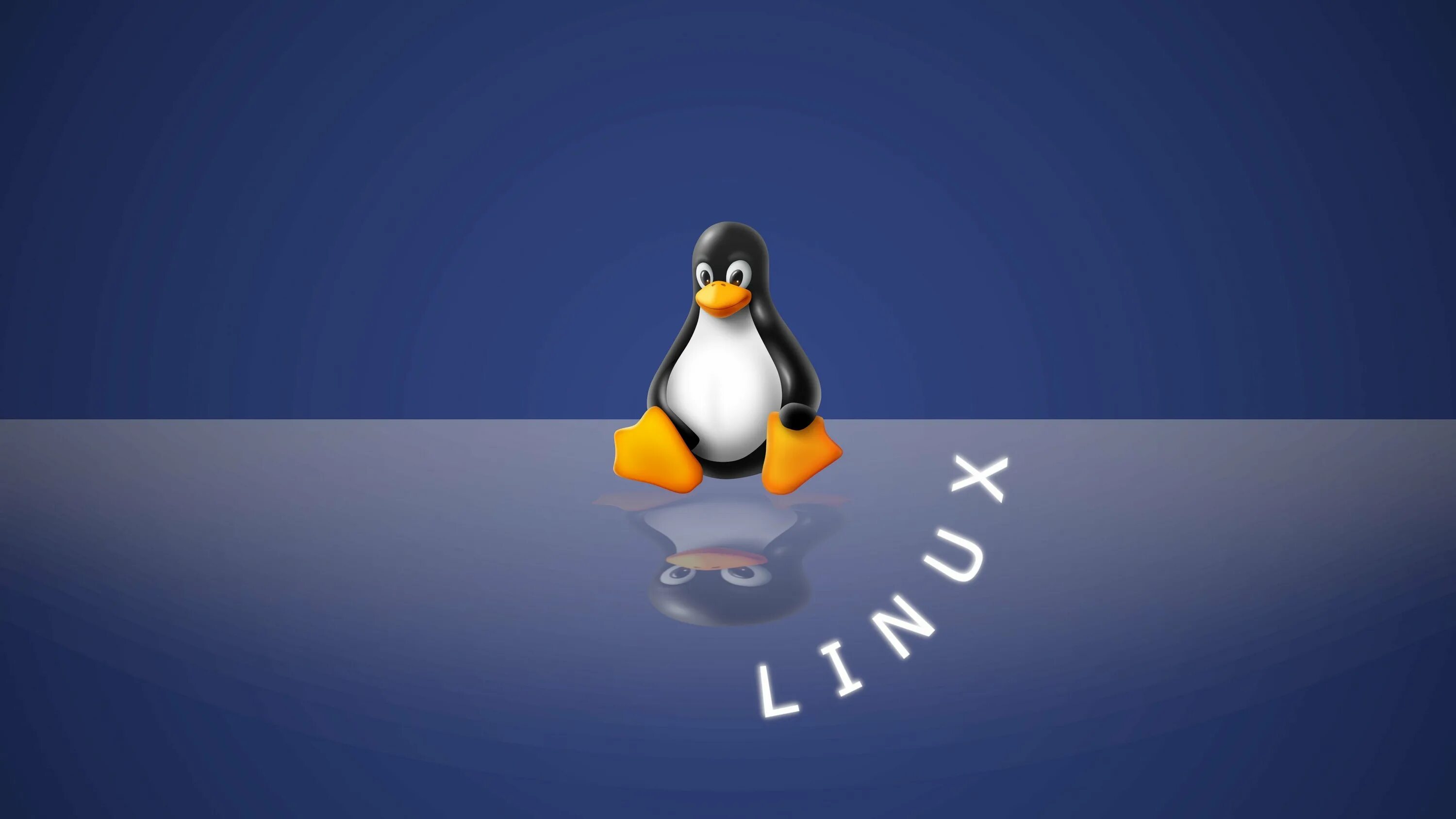 C под linux. Заставка линукс. фон рабочего стола linux. linux пингвин. линукс фото.