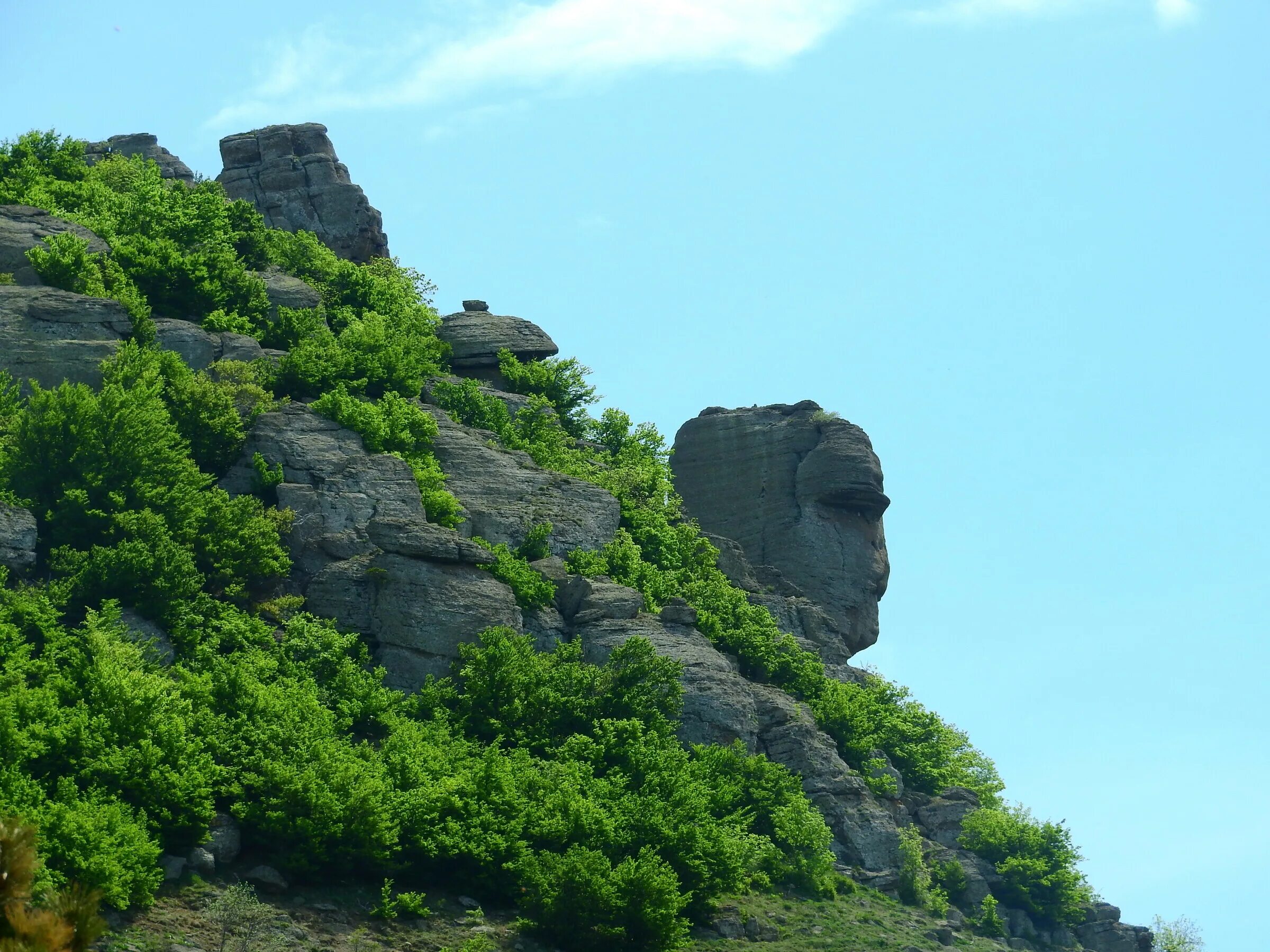 Скала в крыму голова