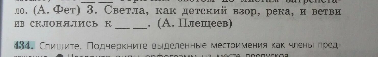 Светла как детский взор река и ветви Ив склонялись. Плещеев светла как детский взор река и ветви Ив склонялись. Светла как детский взор. Светла как детский взор река и ветви Ив склонялись к ним стих.