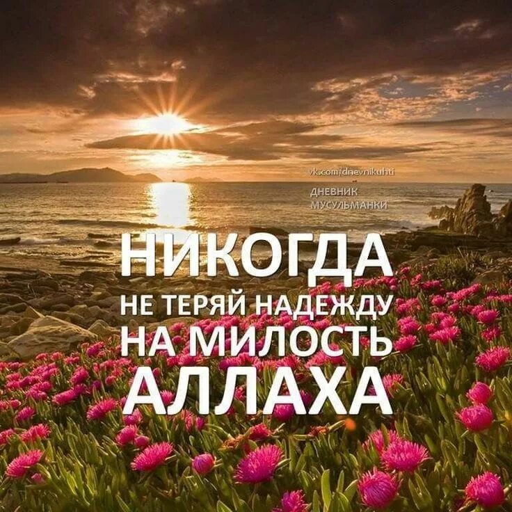 Мусульманка с сердцем в руках. Девушка в хиджабе со спины. Красивая мусульманская картинка со смыслом. Стильные картинки со смыслом. Красивая мусульманская картинка со смыслом.