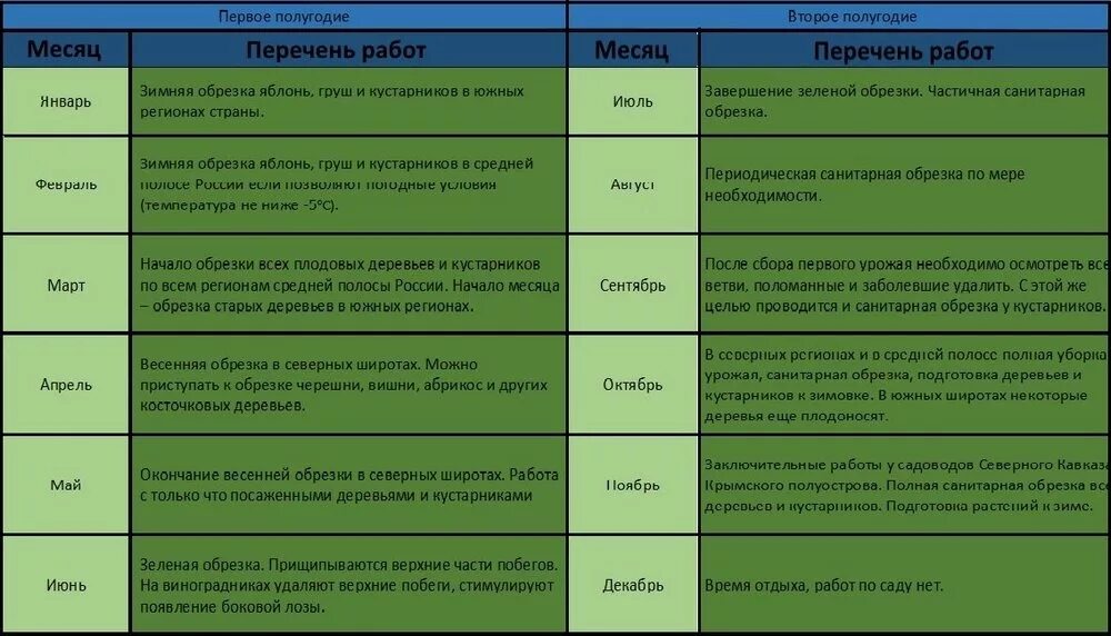 Календарь подкормок плодовых деревьев. График удобрения плодовых деревьев и кустарников. Схема удобрения плодовых деревьев. Таблица обрезки плодовых деревьев и кустарников.