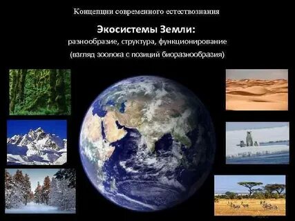 Земные экосистемы