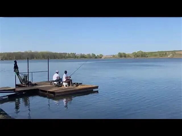 Стадион рыбалка. Водоем стадион Курск. База отдыха стадион Курск. Стадион рыбалка Курск. Рыбалка на стадионе.