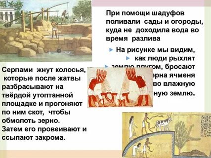 Особое приспособление при помощи которого египтяне поливали