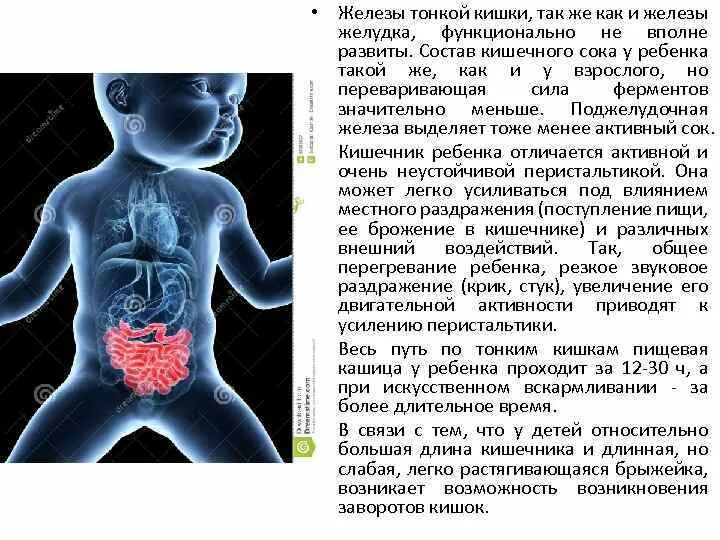 Пищеварительные железы тонкой кишки. Железы тонкого кишечника. Кишечные железы тонкой кишки. Возрастные изменения тонкой кишки. Тонкая кишка ребенка