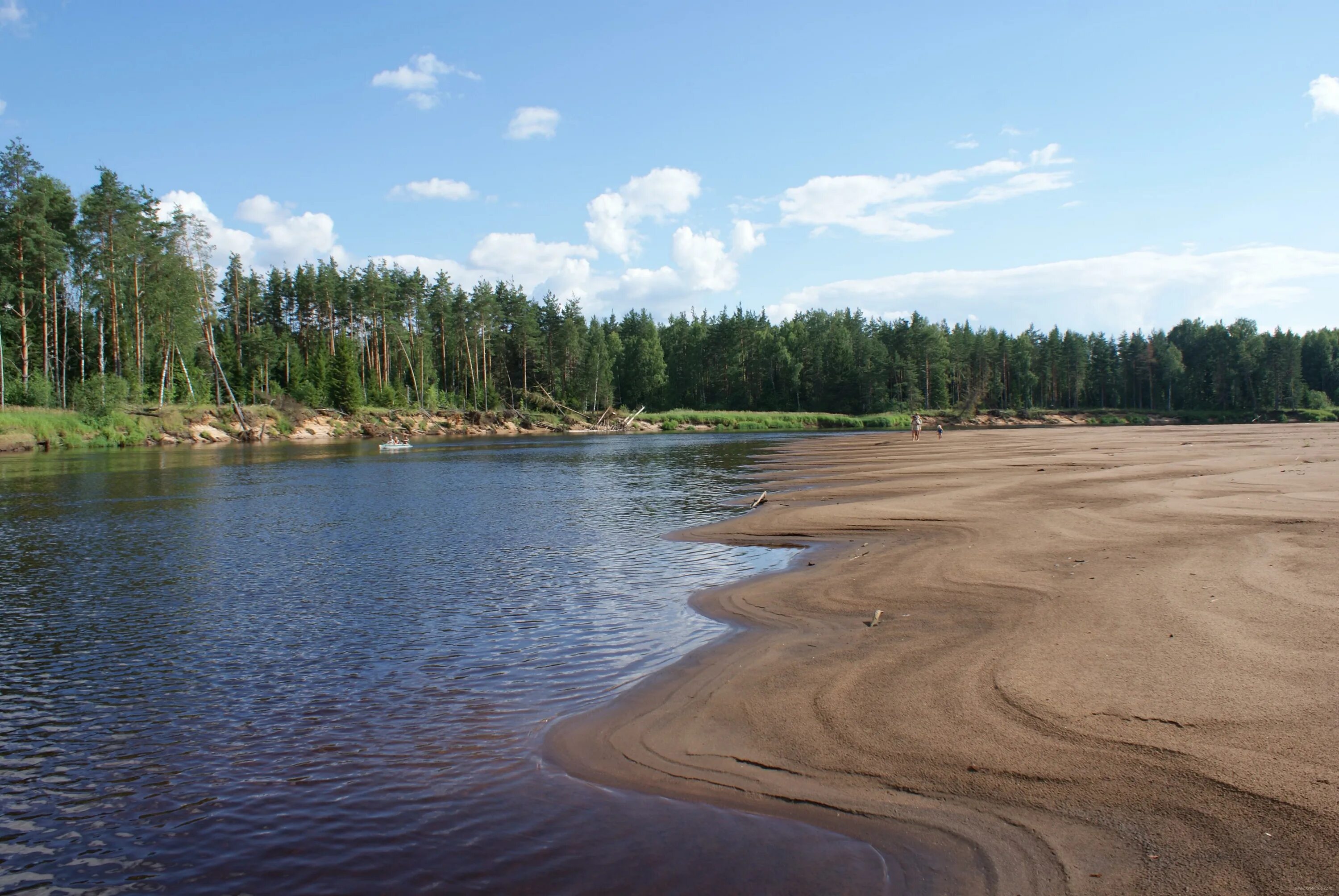 Поселок хвойная новгородская область. Река Песь Новгородской Хвойнинский. Поселок Песь Хвойнинского района. Река Хвойная Песь Новгородская область. Деревня Бережок Хвойнинского района.