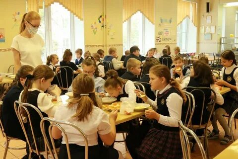 Школьные вакансии в спб