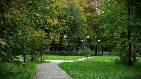 Городок гагарина