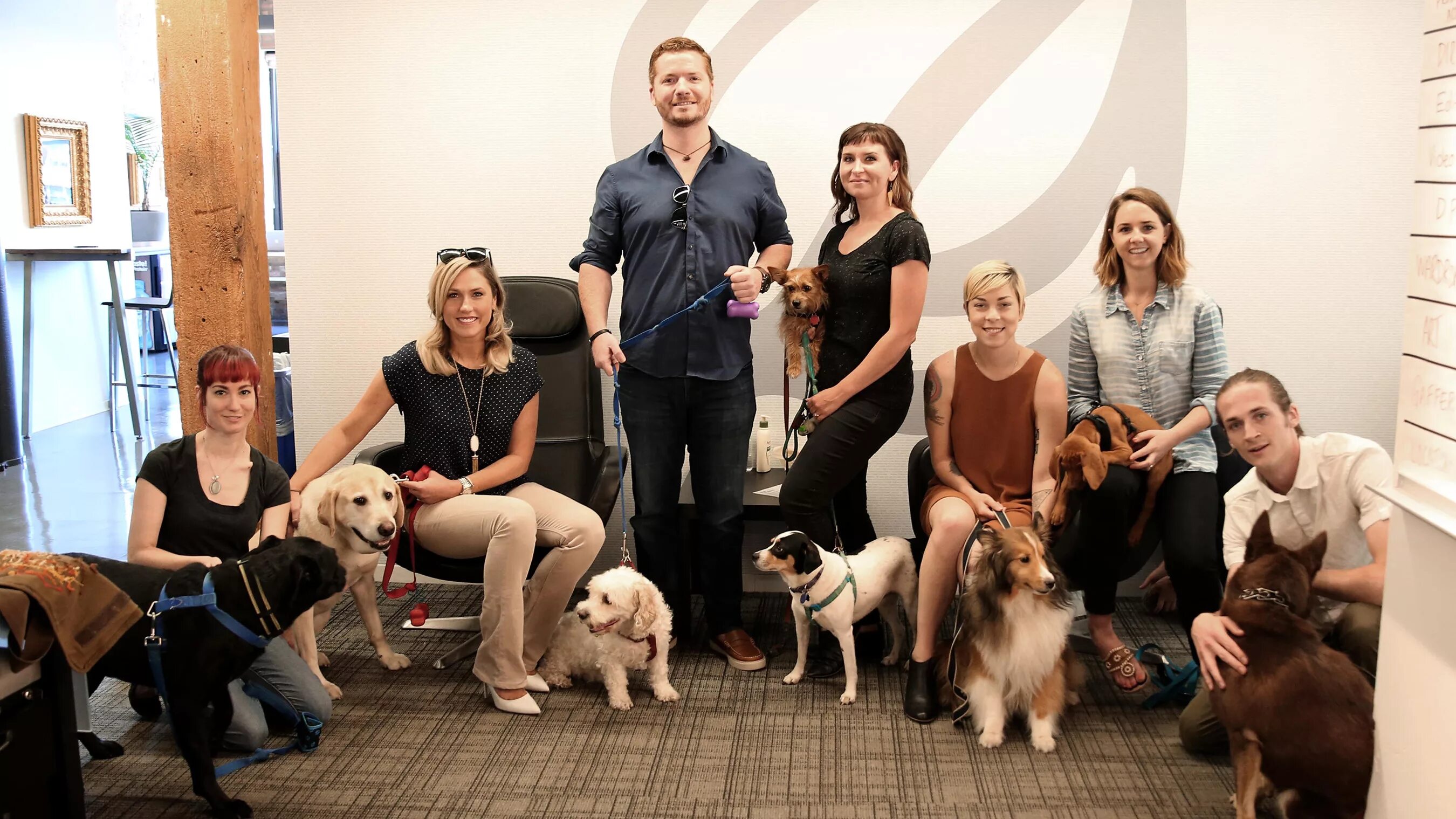 Pets company. #Purina Family. Purina better with Pets. Pets at work.