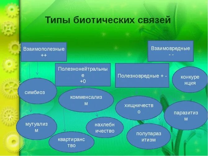 Какие биотические связи. Типы биотических взаимоотношений. Типы биотических отношений схема. Типы биотических взаимоотношений с примерами. Типы биотических взаимоотношений таблица.