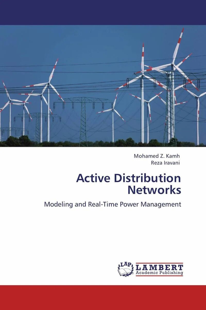 Distribution Power Grid. Distribution Actions. Penetration Power.