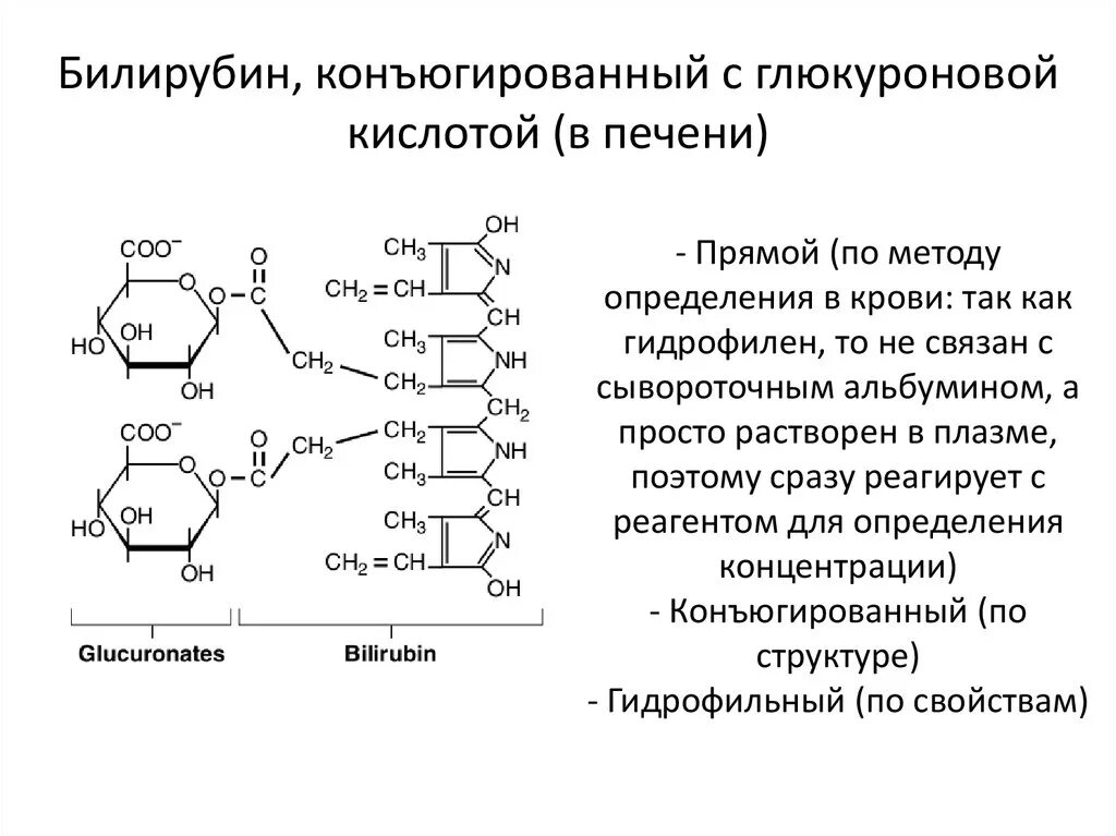 Билирубин. Прямой билирубин глюкуроновой кислотой. УДФ глюкуроновая кислота. Билирубин формула биохимия. Химическая формула билирубина.