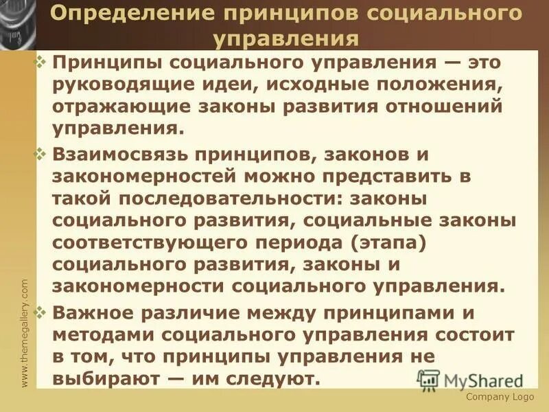 принципы социального управления