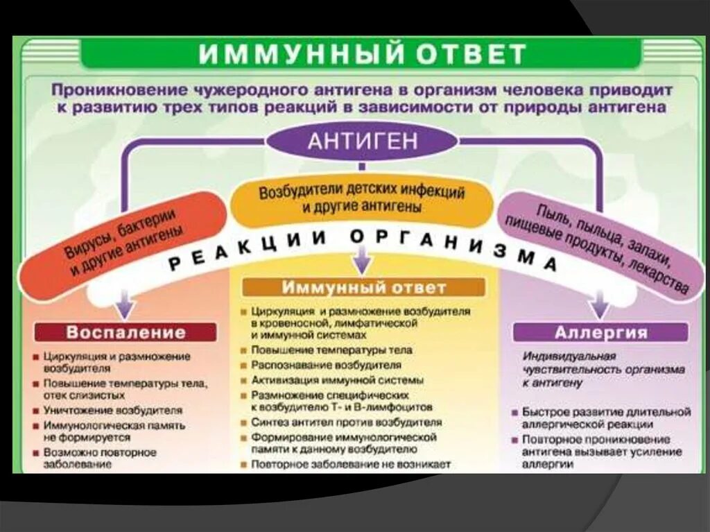 Иммунный ответ микробиология. Иммунная реакция организма. Иммунный ответ человек. Иммунный ответ кратко. Формирует связь с организмом матери