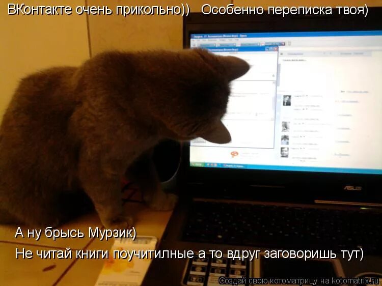 Очень клевый можно. Крутые собаки. Очень клевый можно. Очень клевый можно. Классно.