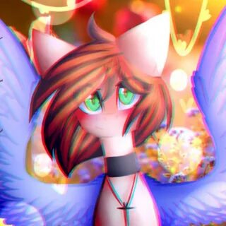 Вики кошечки