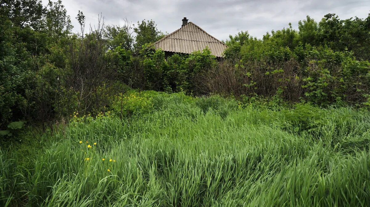 Village воронеж. Воронеж фото деревня. Деревни Воронежской области фото.