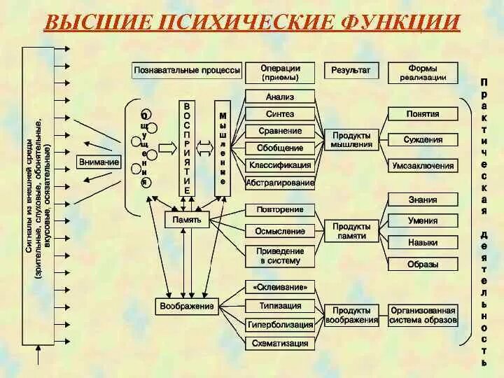 Составляющие психических функций