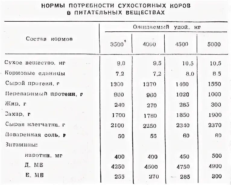 Что нужно давать корове