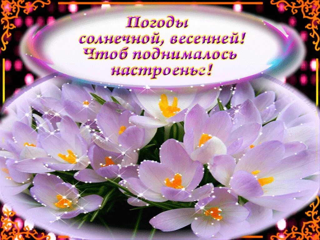 Весеннее пожелание доброго дня женщине