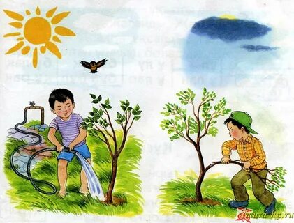 Фотосуреттер мен аяқтарды жалап писка