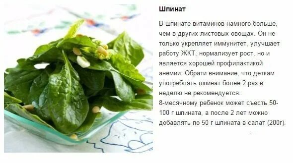 Шпинат при грудном вскармливании. Шпинат для детей. С какого возраста можно шпинат. Шпинат польза. Шпинат виктория.