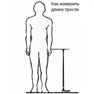 Как подобрать высоту трости