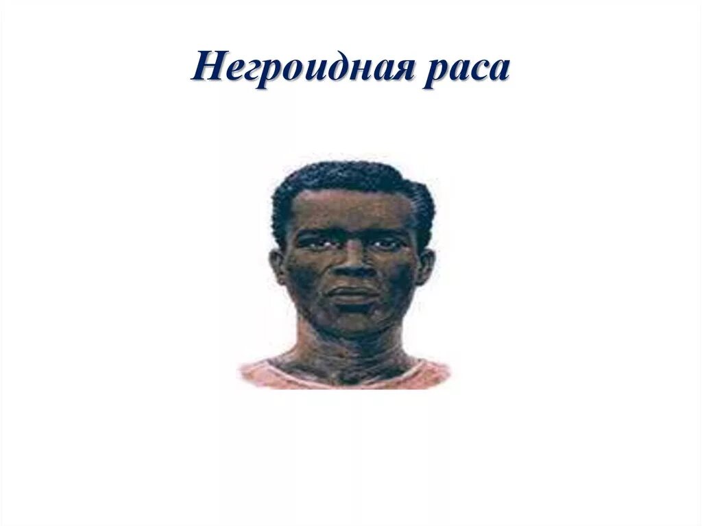 Лицо негроидной расы. Негроидная Африканская раса. Австрало негроидная раса. Негроидная раса жизнь. Негроидная раса характерная внешность.